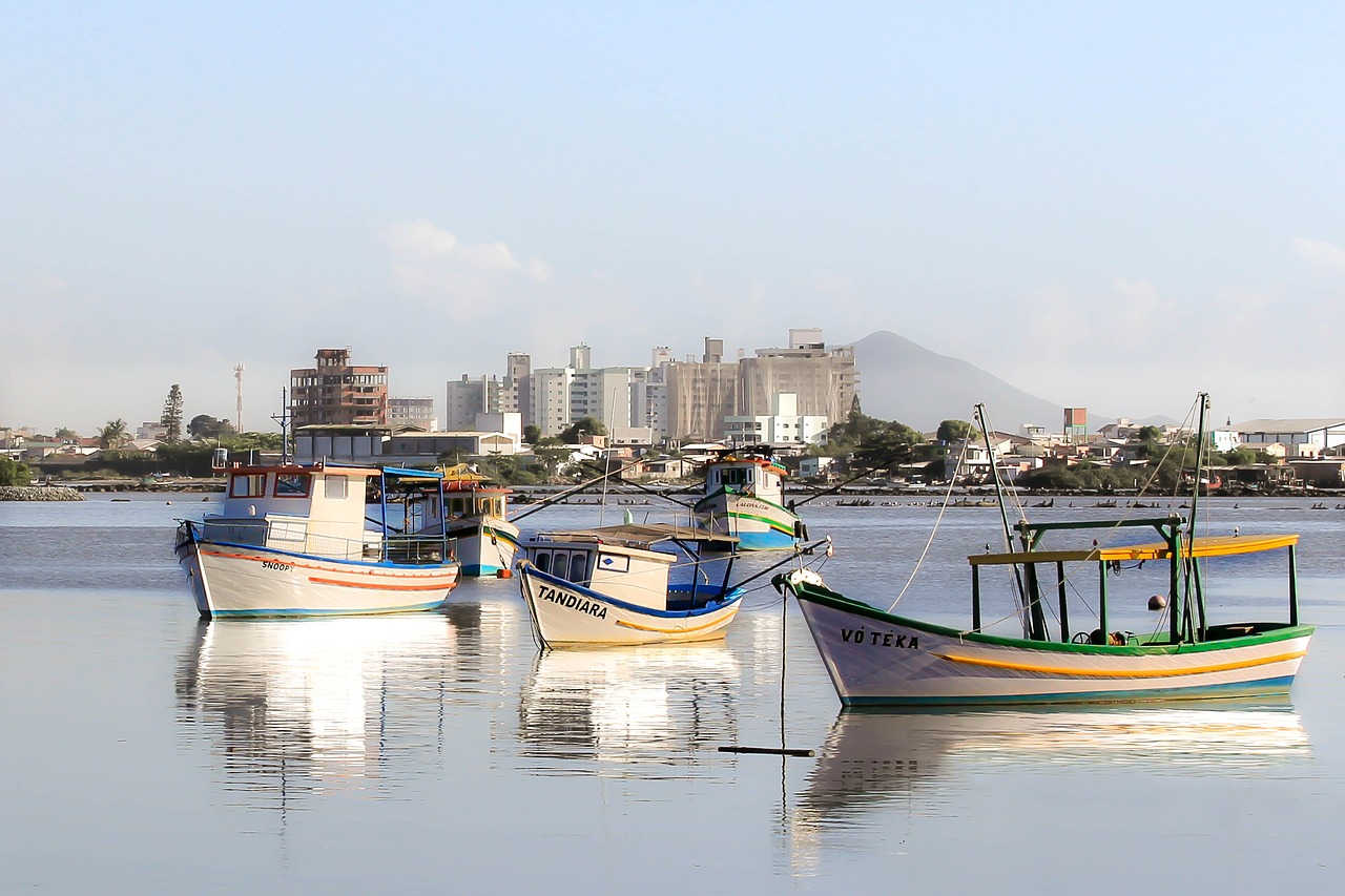 Foto de uma paisagem com barcos de pesca na água, em primeiro plano. Ao fundo, diversos prédios em um dia ensolarado.